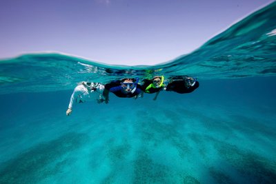 qué es el snorkel